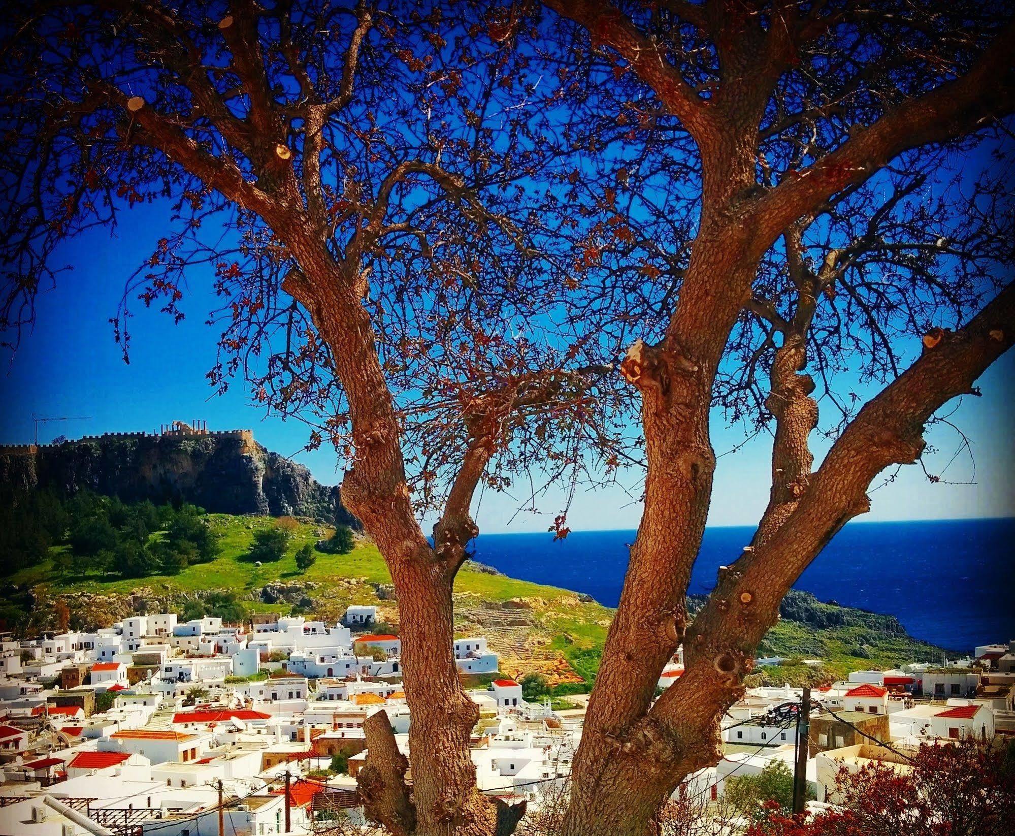 Little Lindos Sea View Studios Kültér fotó